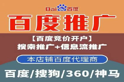 企业SEM服务实战案例解析